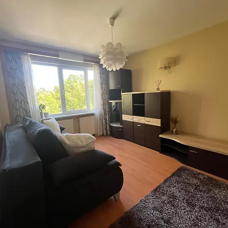 Appartement Cozy By Botanical Garden & Rsu